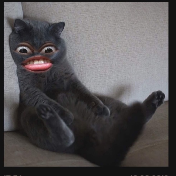 Meet your Posher, Daniel - Picture 1 of 1